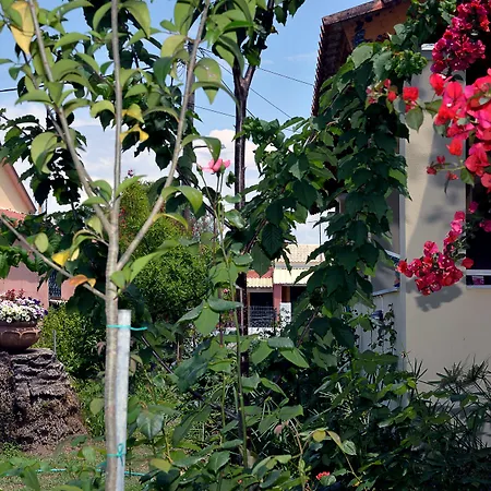 Feeloxenia Corfu Aharávi
