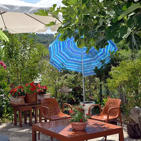 Feeloxenia Corfu Апартаменты *