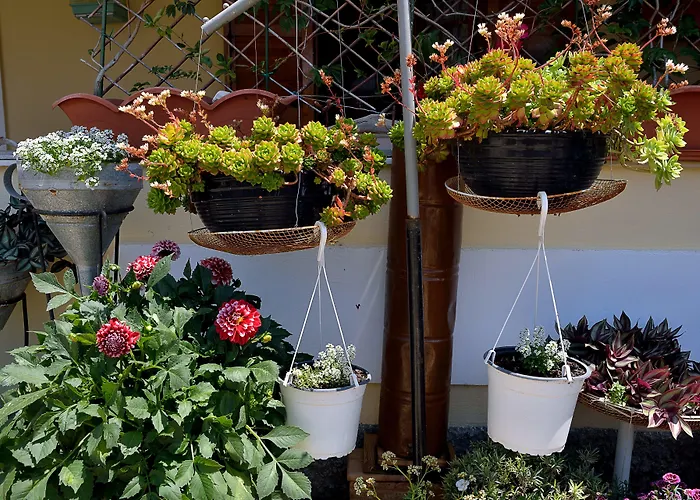 Feeloxenia Corfu Acharavi (Corfu)