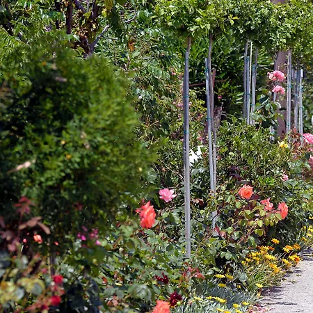 아파트 Feeloxenia Corfu