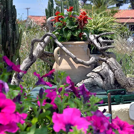 Feeloxenia Corfu * 아카라비