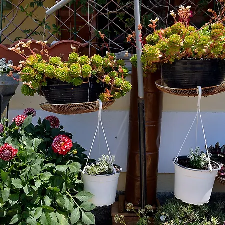 Feeloxenia Corfu Acharavi (Corfu)